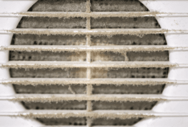 What’s Really Hiding Inside Your Home’s Air Ducts?