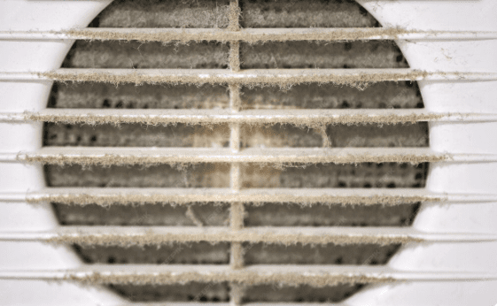 What’s Really Hiding Inside Your Home’s Air Ducts?
