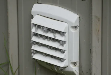 The Benefits of Dryer Vent Cleaning for Pet Owners