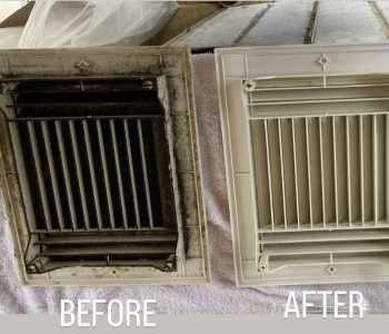 pictures before after