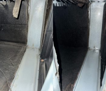 Before After